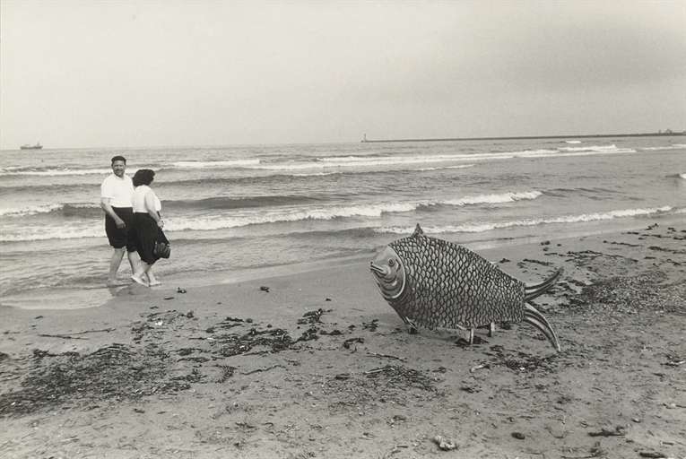 Robert Frank